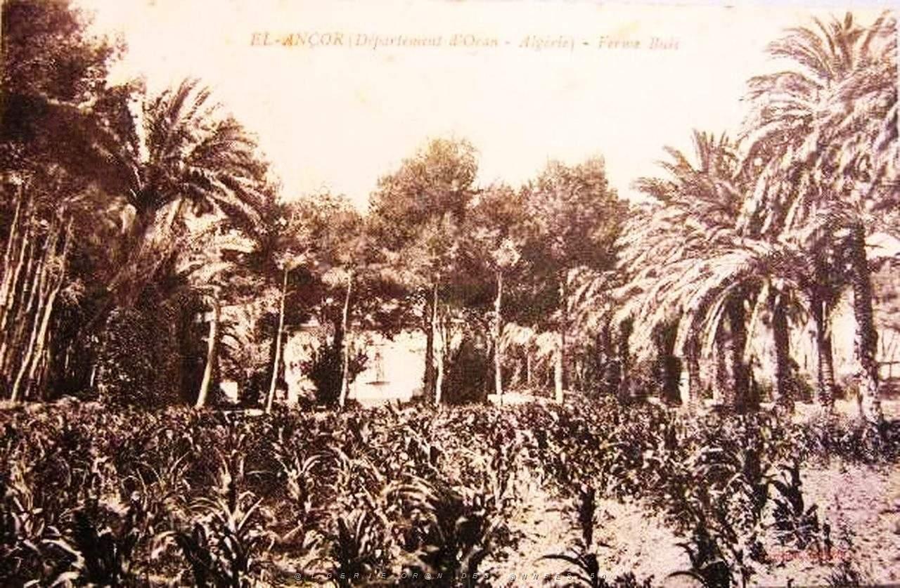 CO jc- 020- El ancor- Andalouses .jpg